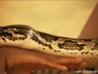 Bollywood dan yang memikat ular